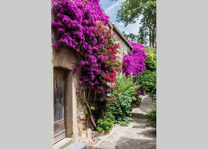 Coquet 2 Pieces Coeur Vieil Antibes