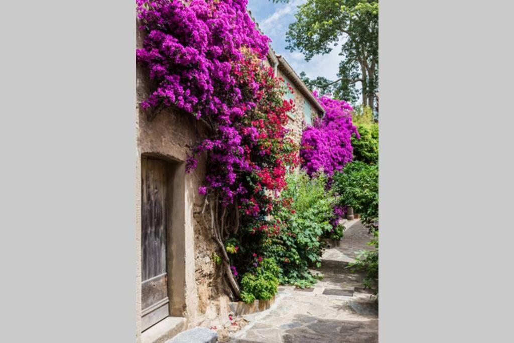 Appartement Coquet 2 Pieces Coeur Vieil
