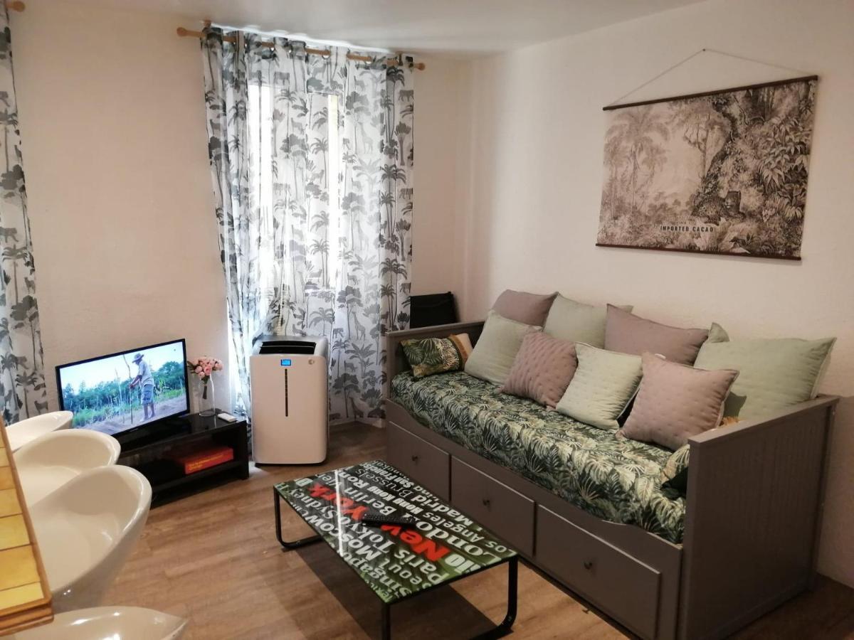Apartment Coquet 2 Pieces Coeur Vieil